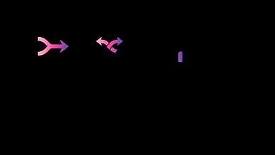 粉色箭头指示标特效AE模板视频的预览图